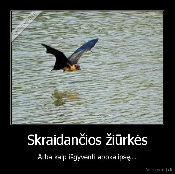 Skraidančios žiūrkės - Arba kaip išgyventi apokalipsę...