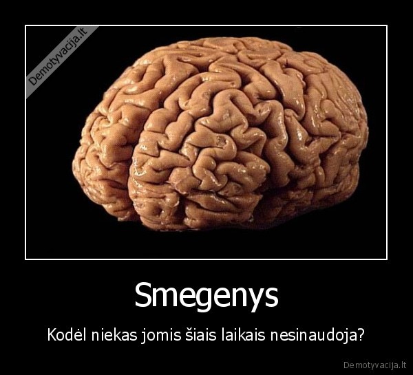 Smegenys - Kodėl niekas jomis šiais laikais nesinaudoja?