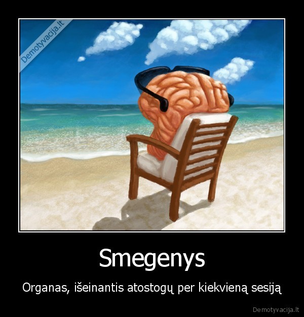 Smegenys - Organas, išeinantis atostogų per kiekvieną sesiją