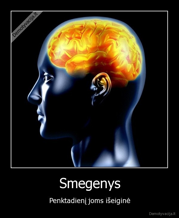 Smegenys - Penktadienį joms išeiginė