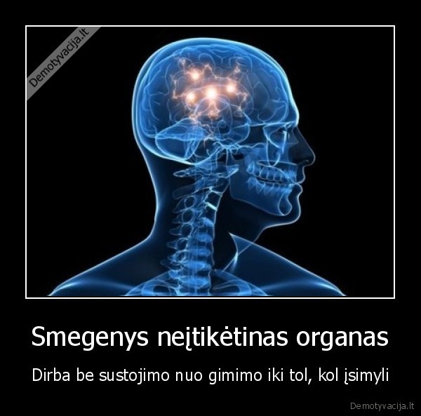 Smegenys neįtikėtinas organas - Dirba be sustojimo nuo gimimo iki tol, kol įsimyli