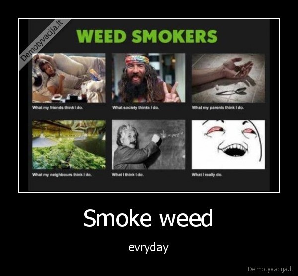 Smoke weed - evryday