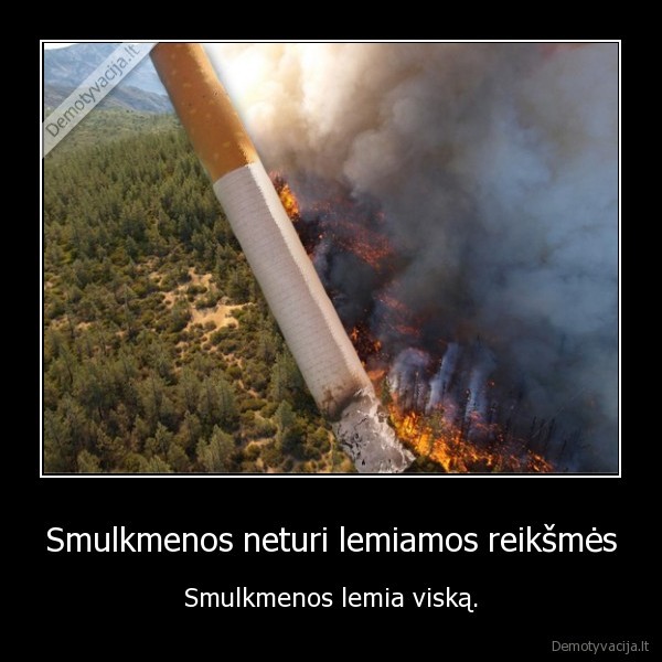 Smulkmenos neturi lemiamos reikšmės - Smulkmenos lemia viską.