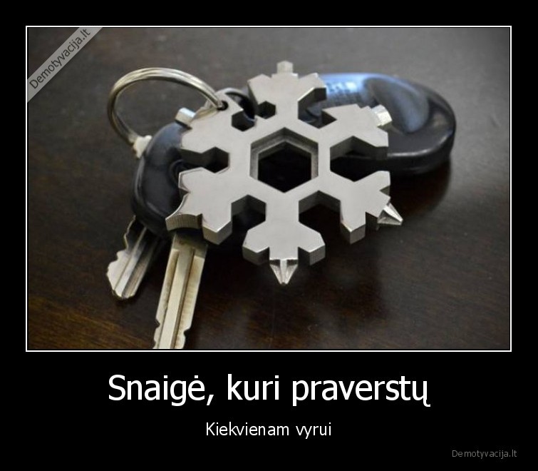 Snaigė, kuri praverstų - Kiekvienam vyrui