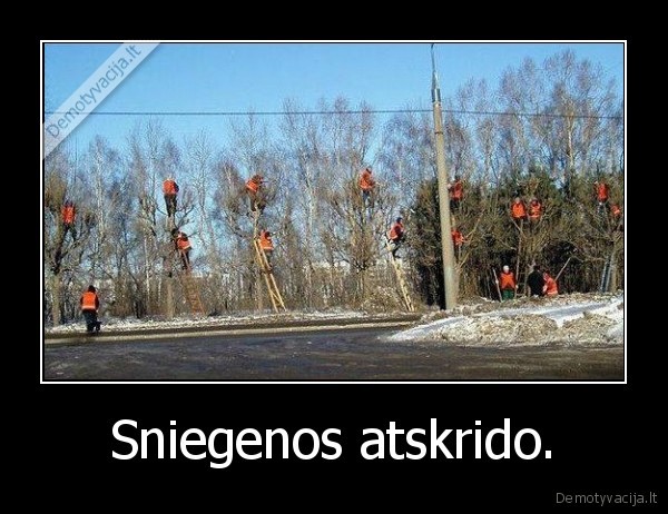 Sniegenos atskrido. - 