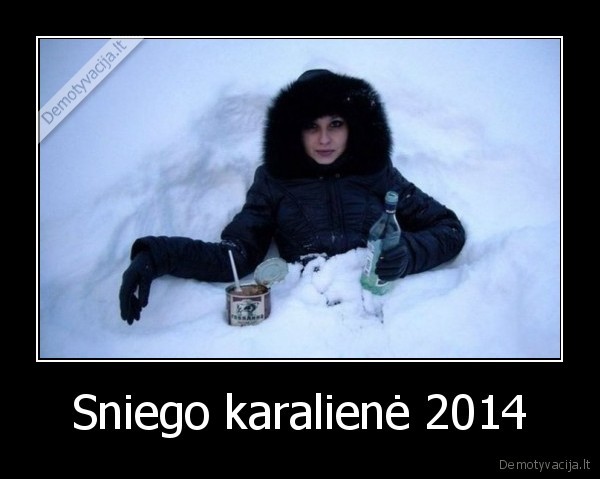 Sniego karalienė 2014 - 