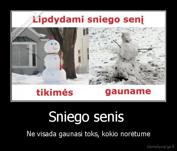 Sniego senis  - Ne visada gaunasi toks, kokio norėtume