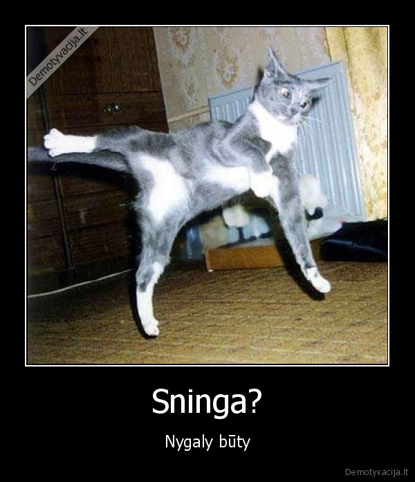 Sninga? - Nygaly būty