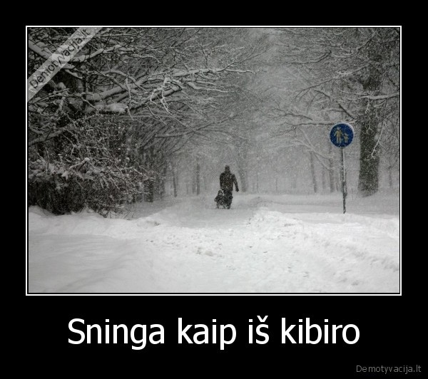 Sninga kaip iš kibiro - 