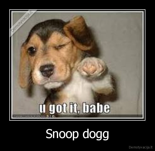 Snoop dogg - 