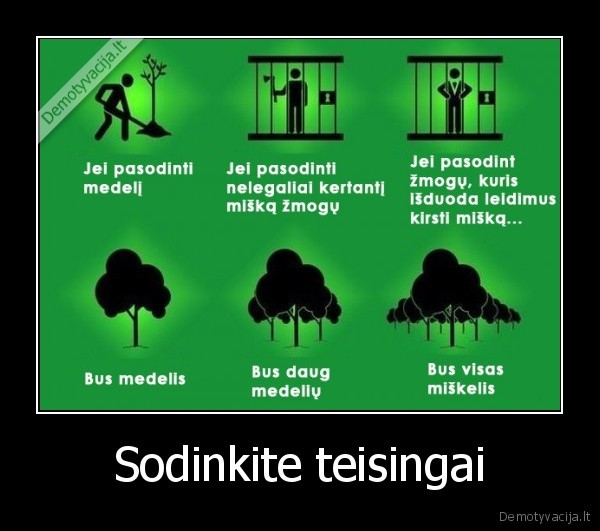 Sodinkite teisingai - 