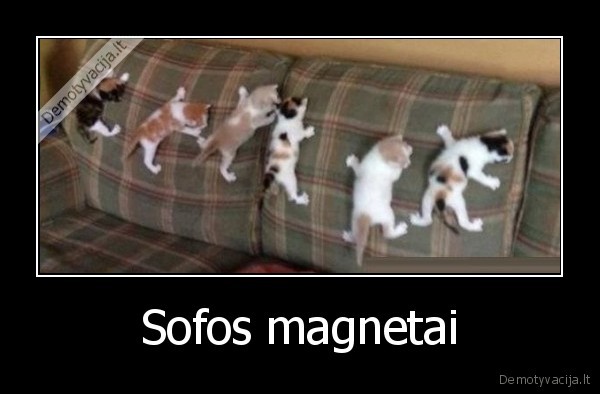 Sofos magnetai - 