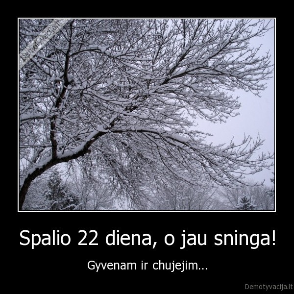 Spalio 22 diena, o jau sninga! - Gyvenam ir chujejim...