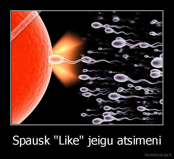 Spausk "Like" jeigu atsimeni - 