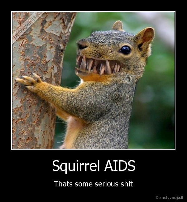 Squirrel AIDS - Thats some serious shit