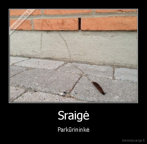 Sraigė - Parkūrininkė