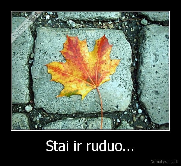 Stai ir ruduo... - 