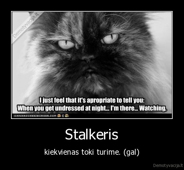 Stalkeris - kiekvienas toki turime. (gal)