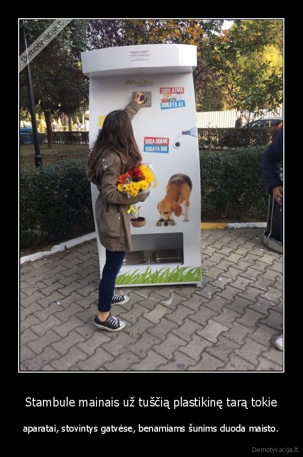 Stambule mainais už tuščią plastikinę tarą tokie - aparatai, stovintys gatvėse, benamiams šunims duoda maisto.