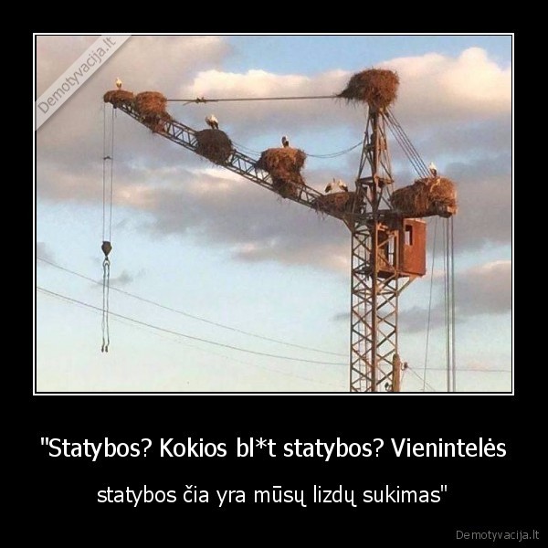 "Statybos? Kokios bl*t statybos? Vienintelės - statybos čia yra mūsų lizdų sukimas"