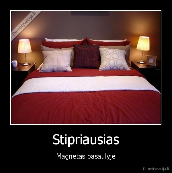 Stipriausias - Magnetas pasaulyje