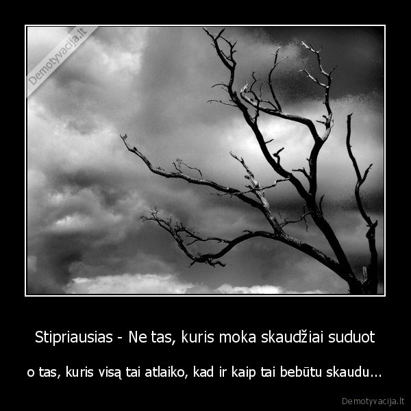 Stipriausias - Ne tas, kuris moka skaudžiai suduot - o tas, kuris visą tai atlaiko, kad ir kaip tai bebūtu skaudu...