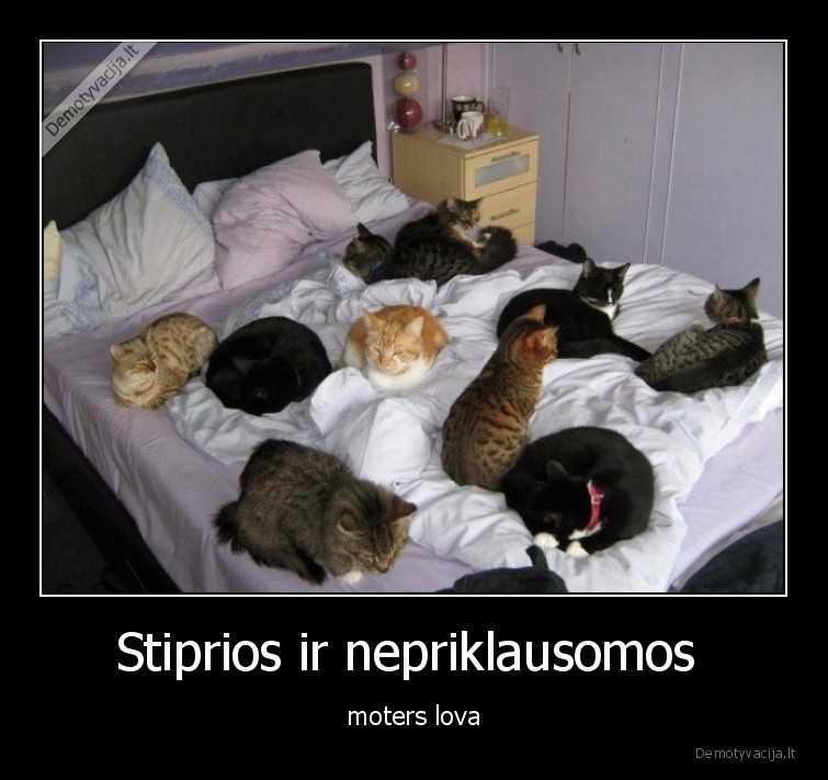 Stiprios ir nepriklausomos  - moters lova