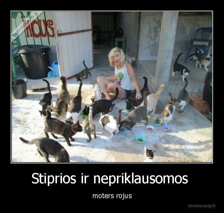 Stiprios ir nepriklausomos  - moters rojus