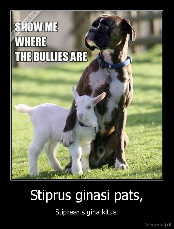 Stiprus ginasi pats, - Stipresnis gina kitus.