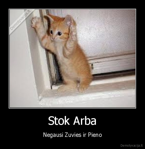 Stok Arba - Negausi Zuvies ir Pieno