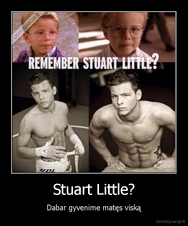 Stuart Little? - Dabar gyvenime matęs viską