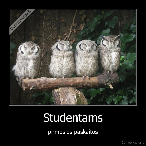 Studentams - pirmosios paskaitos