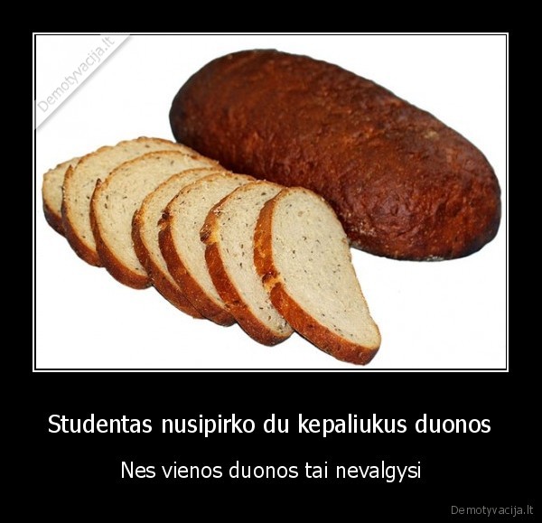 Studentas nusipirko du kepaliukus duonos - Nes vienos duonos tai nevalgysi