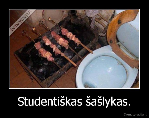 Studentiškas šašlykas. - 