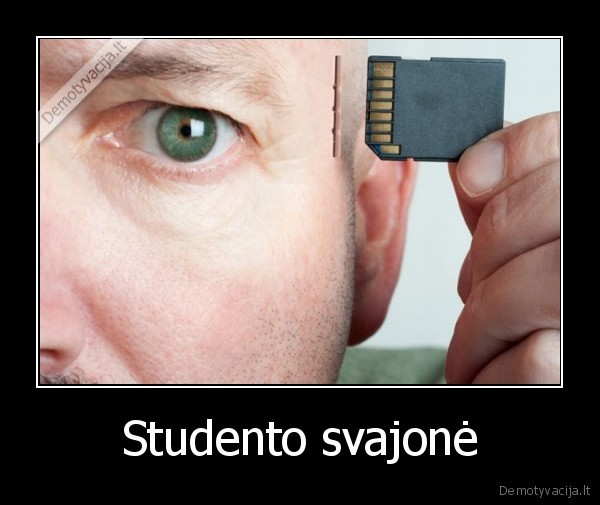 Studento svajonė - 