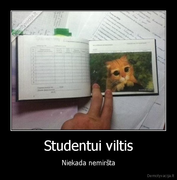 Studentui viltis - Niekada nemiršta