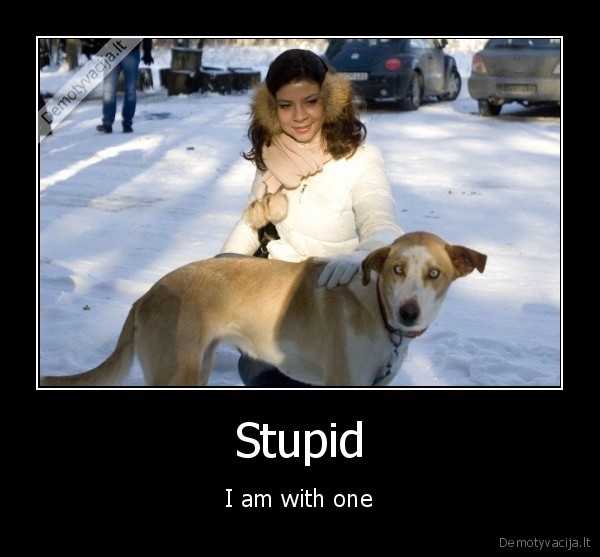 Stupid - I am with one