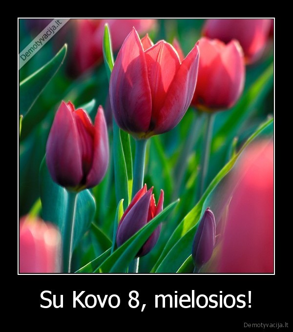 Su Kovo 8, mielosios! - 