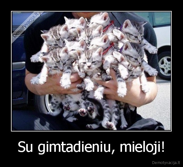 Su gimtadieniu, mieloji! - 