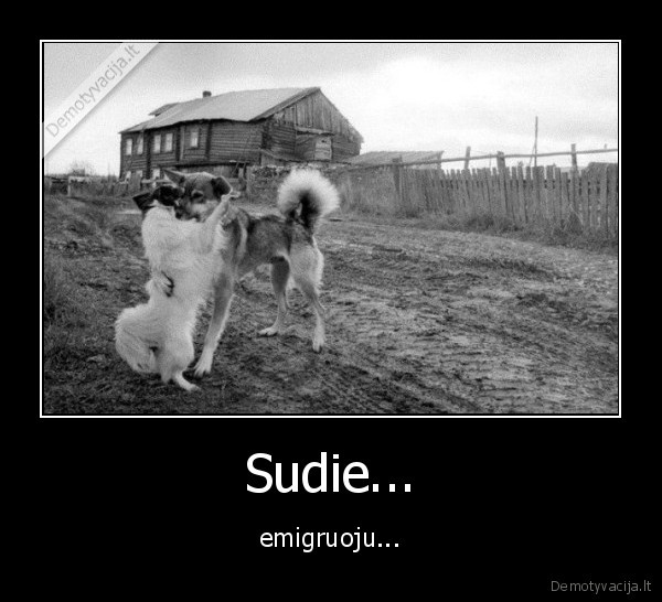 Sudie... - emigruoju...