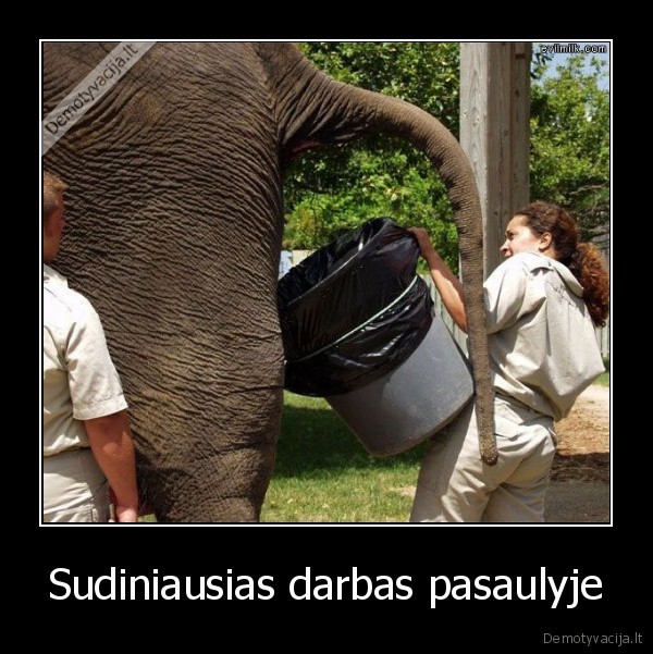 Sudiniausias darbas pasaulyje - 