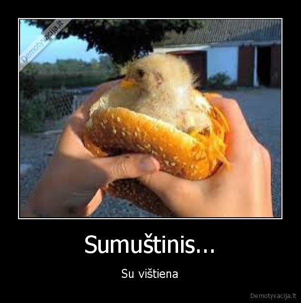 Sumuštinis... - Su vištiena