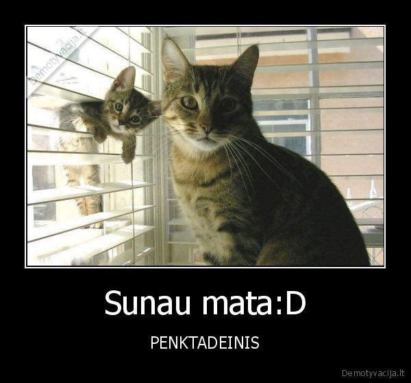 Sunau mata:D - PENKTADEINIS