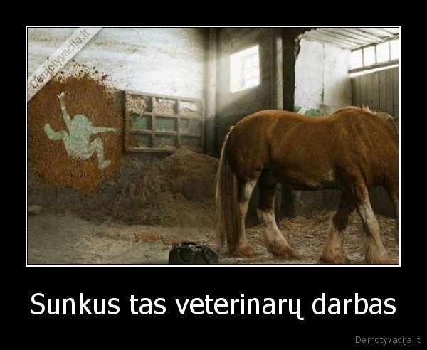 Sunkus tas veterinarų darbas - 