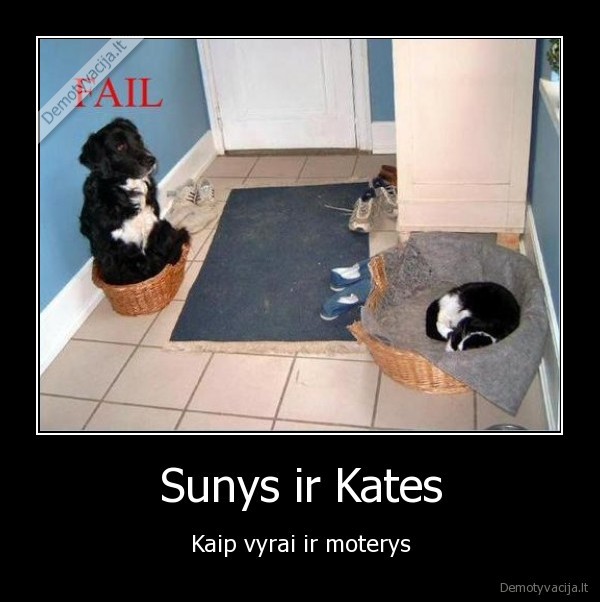 Sunys ir Kates - Kaip vyrai ir moterys