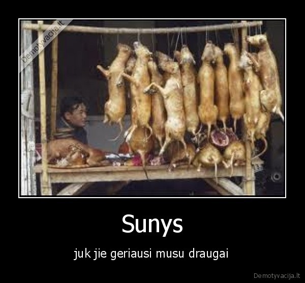 Sunys - juk jie geriausi musu draugai