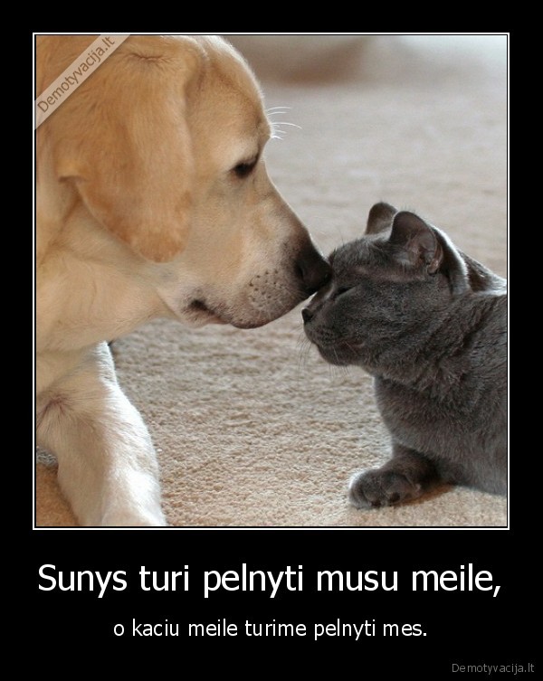 Sunys turi pelnyti musu meile, - o kaciu meile turime pelnyti mes.