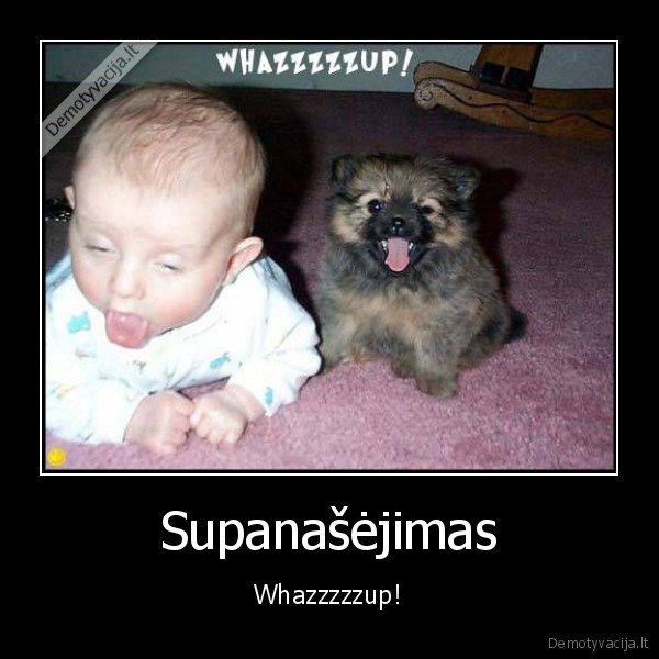 Supanašėjimas - Whazzzzzup!