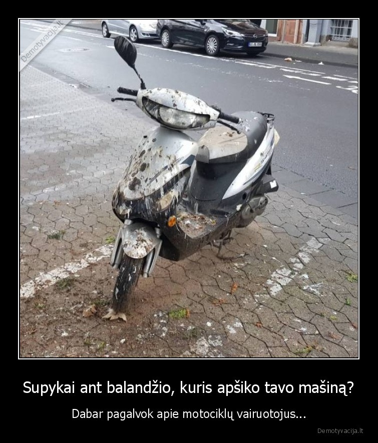 Supykai ant balandžio, kuris apšiko tavo mašiną? - Dabar pagalvok apie motociklų vairuotojus...