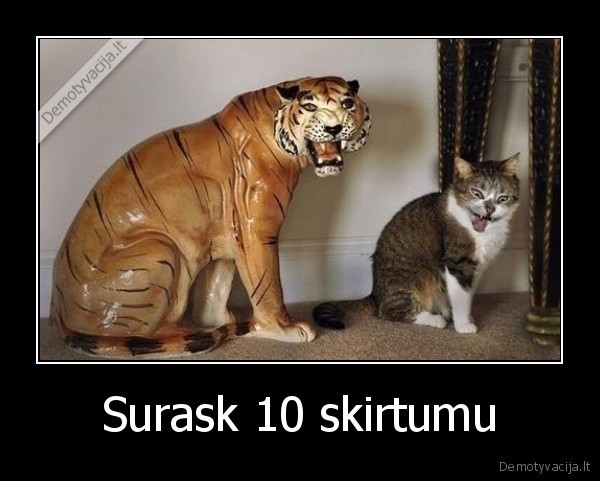 Surask 10 skirtumu - 